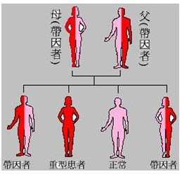 什么是地中海贫血?能***吗?